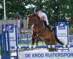 horse Brummerhoeve's Paris (New Forest Pony, 2006, from Silverlea Simply Red)