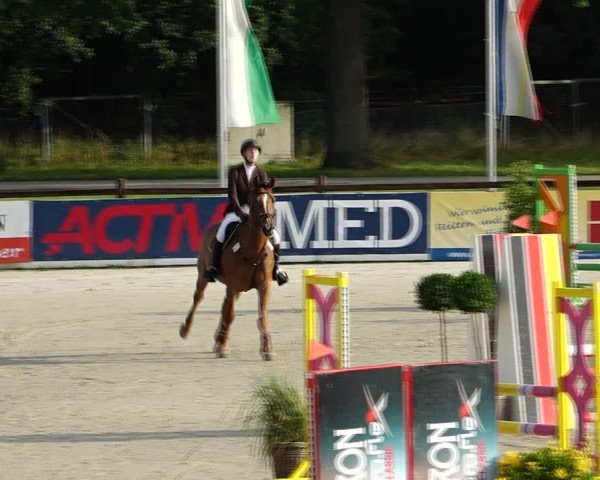 Reitturnier Westergellersen 2021