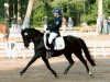 dressage horse Schoensgreen Amelie (German Riding Pony, 2002, from Kaiserstolz)