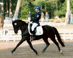 dressage horse Schoensgreen Amelie (German Riding Pony, 2002, from Kaiserstolz)