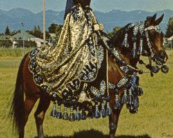 broodmare Jurneeka ox (Arabian thoroughbred, 1958, from Fadjur ox)