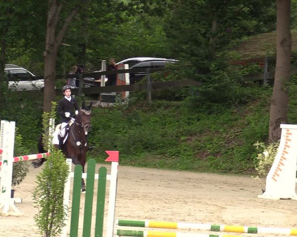 Reitturnier Iserlohn-Kalthof 2021