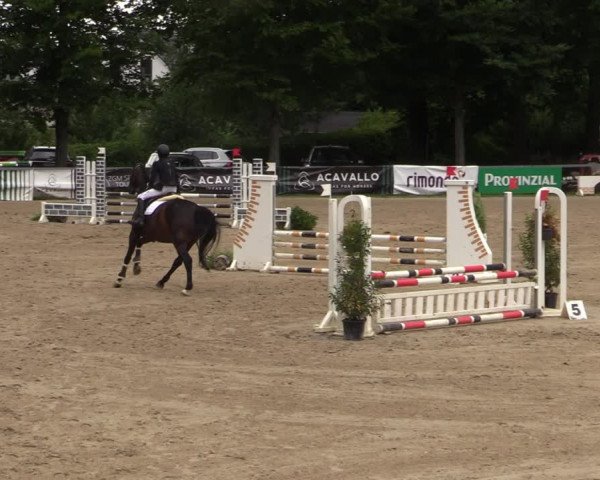 Reitturnier Iserlohn-Kalthof 2021