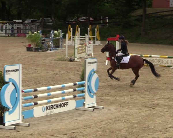 Reitturnier Iserlohn-Kalthof 2021