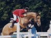 stallion 918 Alois (Czech Warmblood, 1993, from Ascot)