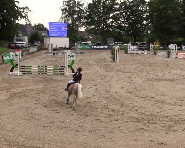 Reitturnier Iserlohn-Kalthof 2021