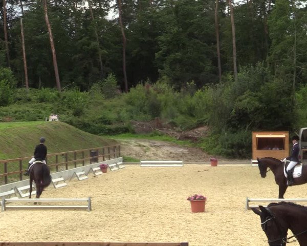 Reitturnier Iserlohn-Kalthof 2021