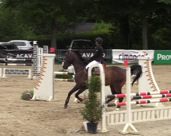 Reitturnier Iserlohn-Kalthof 2021