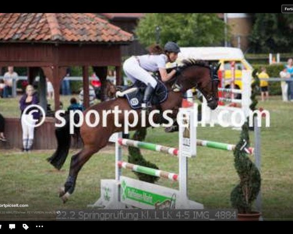 jumper Think About Victor (German Riding Pony, 2005, from Top Viorello)