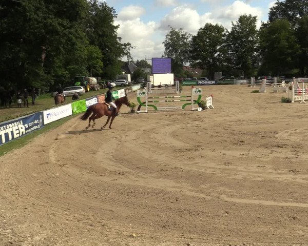 Reitturnier Iserlohn-Kalthof 2021