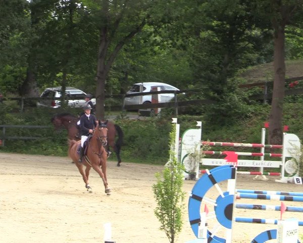 Reitturnier Iserlohn-Kalthof 2021