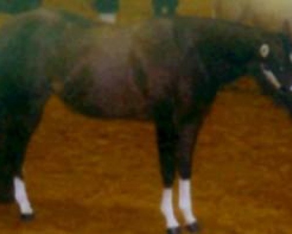 Zuchtstute Heartbroker Review (Paint Horse, 2002, von Hesa Rockin Review)