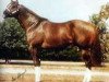 stallion Pretty Impressive (Quarter Horse, 1975, from Impressive)