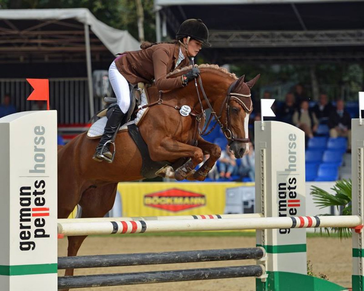 jumper Bodethal´s Rania (German Riding Pony, 2009, from Lagos 72)