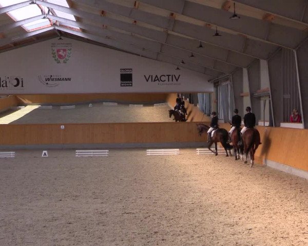 Reitturnier Münster-Amelsbüren 2021