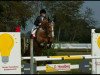 jumper Legendario 2 (Hanoverian, 2004, from Le Primeur)