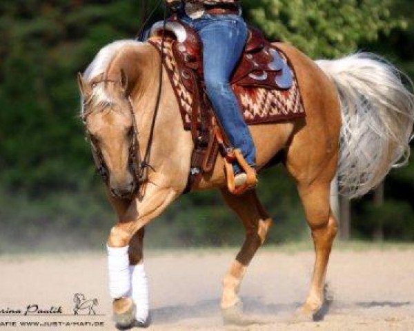 broodmare Sparkle Spook (Quarter Horse, 2007, from Smart Spook)