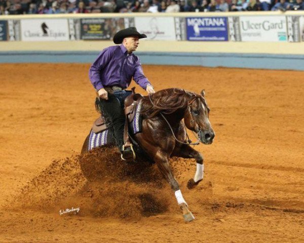 stallion Smart Spook (Quarter Horse, 2001, from Smart Chic Olena)