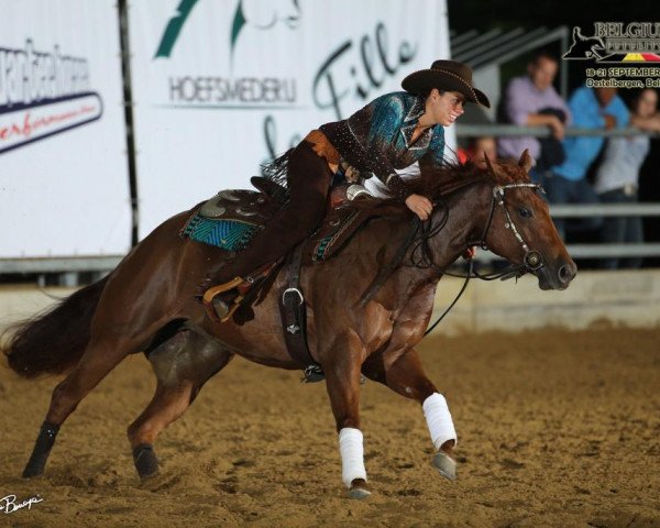 horse Star Miss DunitWhiz (Quarter Horse, 2011, from Topsail Whiz)