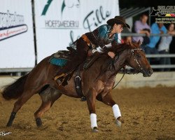 Pferd Star Miss DunitWhiz (Quarter Horse, 2011, von Topsail Whiz)