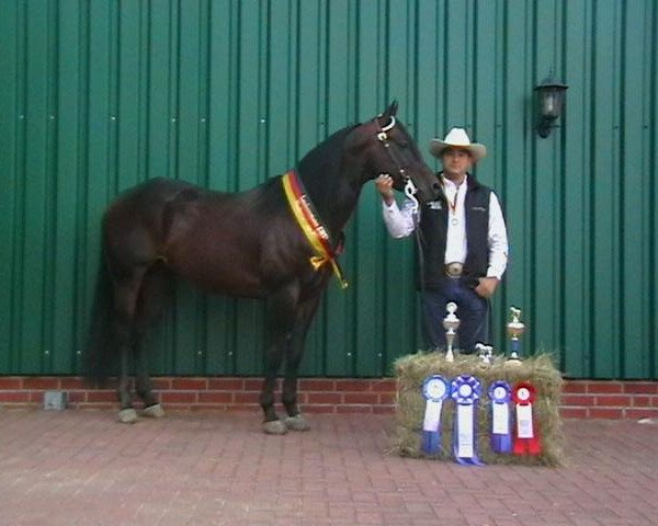 Deckhengst Flip N Rooster (Quarter Horse, 2000, von Gallo Del Cielo)