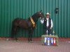 stallion Flip N Rooster (Quarter Horse, 2000, from Gallo Del Cielo)