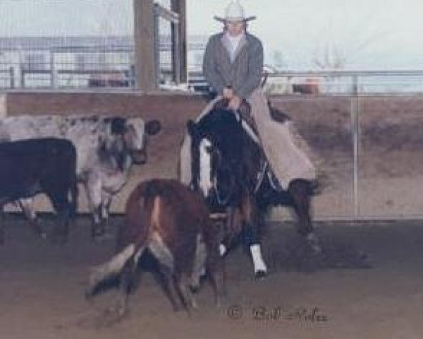 broodmare Lens Match Maker (Quarter Horse, 1983, from Lenas Mel Ody)