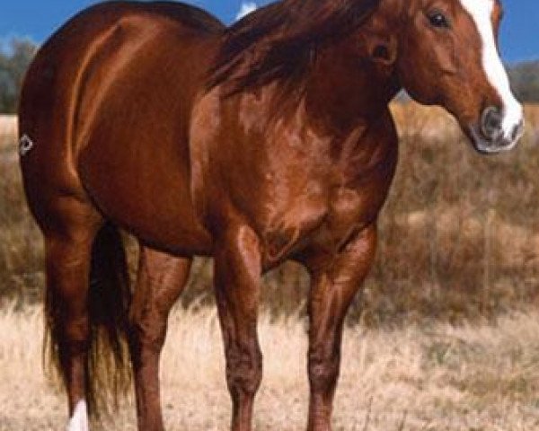 Deckhengst Horseplayin (Quarter Horse, 1994, von Dual Pep)