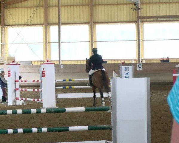 Reitturnier Biberach/Riß 2021