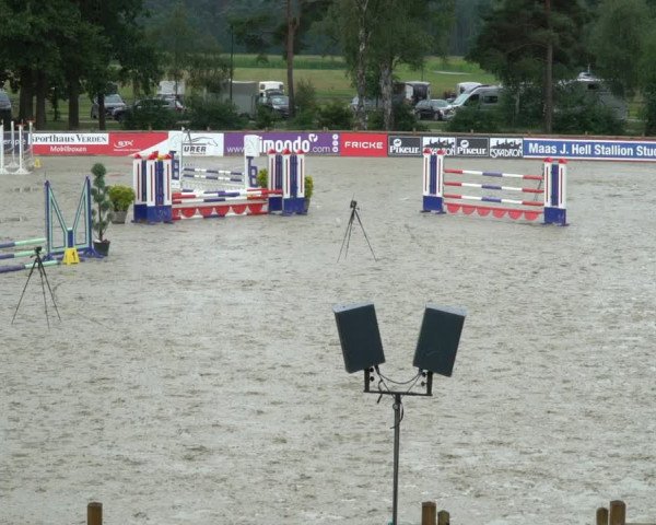 Reitturnier Westergellersen 2021
