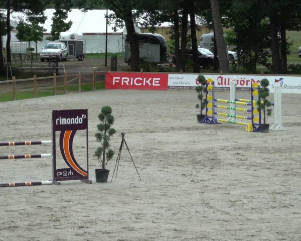 Reitturnier Westergellersen 2021