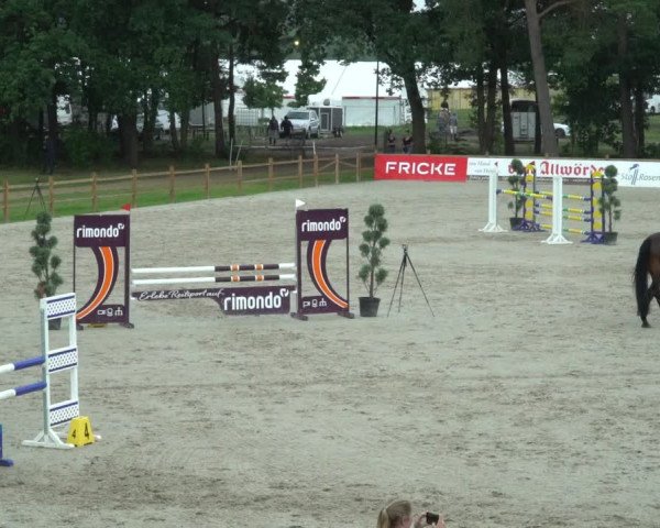 Reitturnier Westergellersen 2021