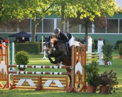 broodmare Chakaluka (Oldenburg, 2002, from Competent)