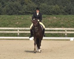 dressage horse Fleur 484 (Oldenburg, 2005, from Florencio I)