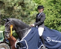 dressage horse Sir Württemberg (Württemberger, 2004, from Sir Oldenburg)