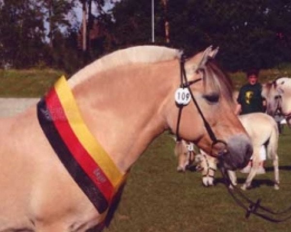 broodmare Julka (Fjord Horse, 1994, from Jon Halsnæs)