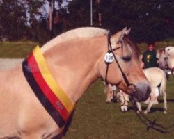 broodmare Julka (Fjord Horse, 1994, from Jon Halsnæs)