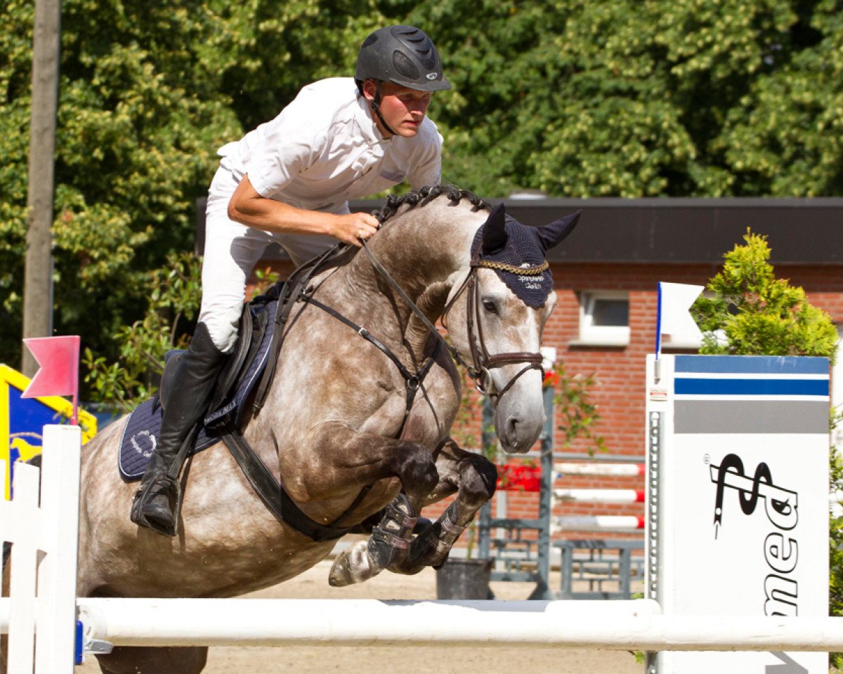 jumper Luidor 19 (Westphalian, 2008, from Hh Linton)