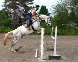 dressage horse Caspar (German Warmblood, 2007, from Ciacomini)