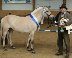 broodmare Mette Marit (Fjord Horse, 2007, from Sogneblakken)