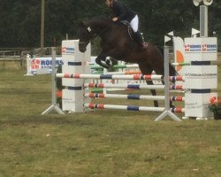 dressage horse Cascavel 4 (Hanoverian, 2006, from Convoi)