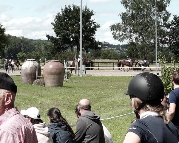Concours Aesch 2021