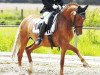 Zuchtstute Dream Desley (Deutsches Reitpony, 2005, von FS Don't Worry)