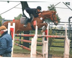 horse Dutch Boy (KWPN (Royal Dutch Sporthorse), 1990, from Pele)