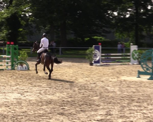Reitturnier Datteln 2021