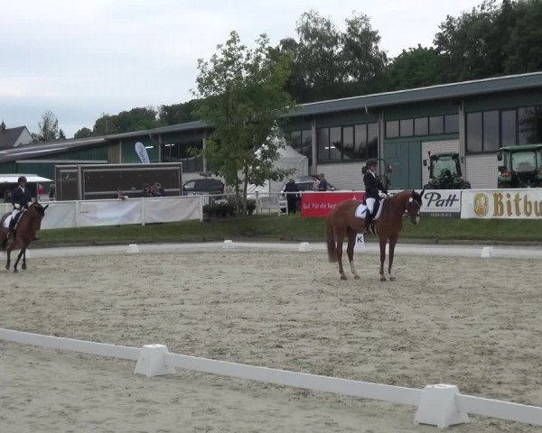 Bergisch Classics - Bergisch Gladbach - Hebborner Hof 2021