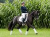 dressage horse Chantre WE (German Riding Pony, 2009, from Calvados)