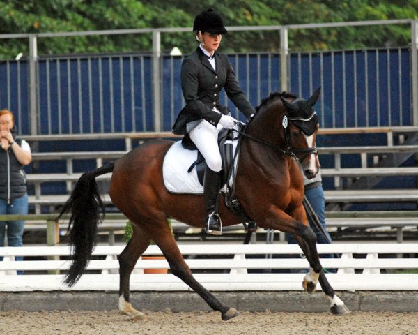 dressage horse Galatria (German Riding Pony, 2009, from King of Dance)