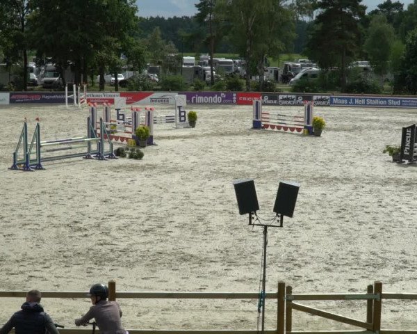 Reitturnier Westergellersen 2021
