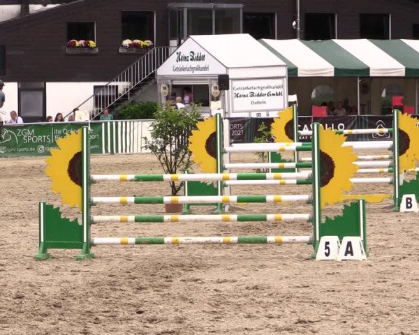 Reitturnier Datteln 2021